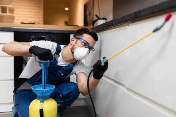 Best Best Pest Control Companies  in Loma Linda, CA