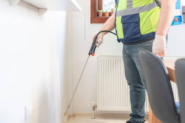 Best Flea Control Services  in Loma Linda, CA