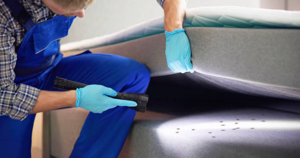 Best Termite Control Services  in Loma Linda, CA