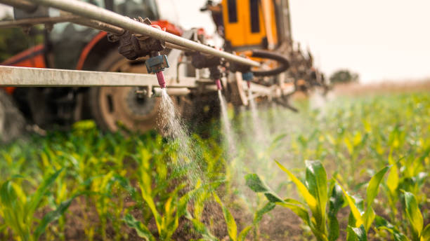 Best Pest Control Cost  in Loma Linda, CA