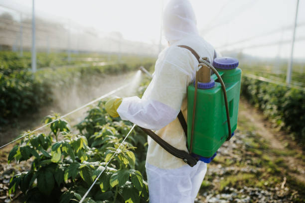 Best Pest Inspection Near Me  in Loma Linda, CA